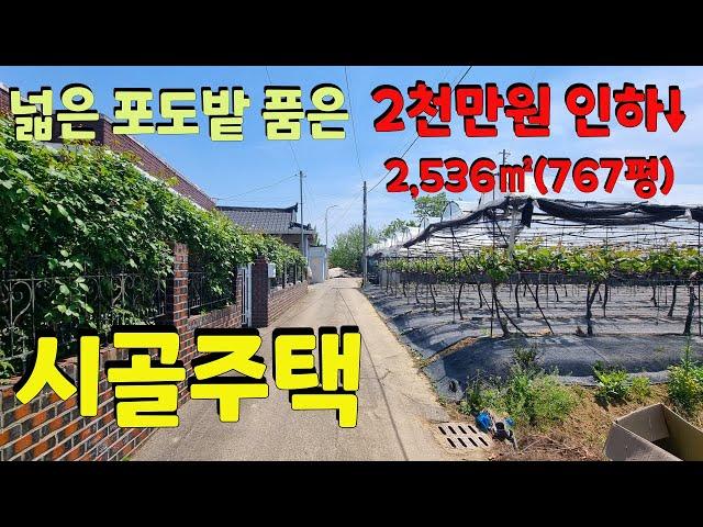 0947 넓은 포도밭과 텃밭을 가진 시골 단독주택 소개합니다