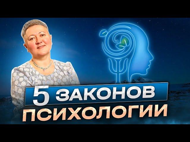 Пять законов психологии