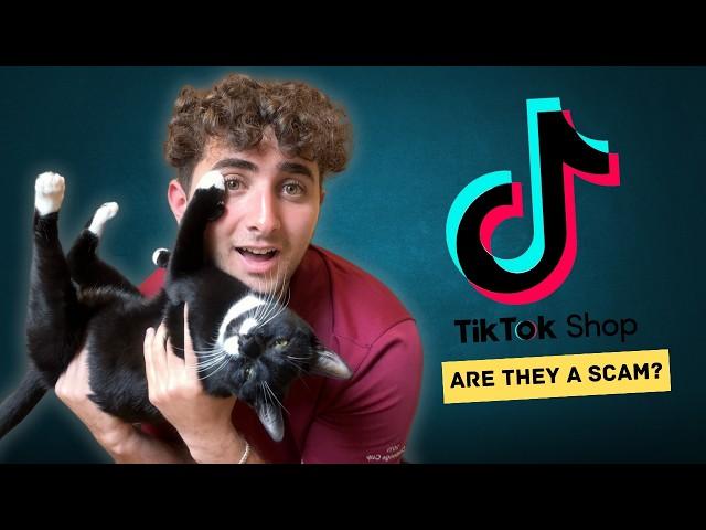 Testing TikTok Shop Cat Products...