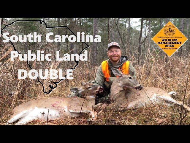 South Carolina Public Land Double!!!!