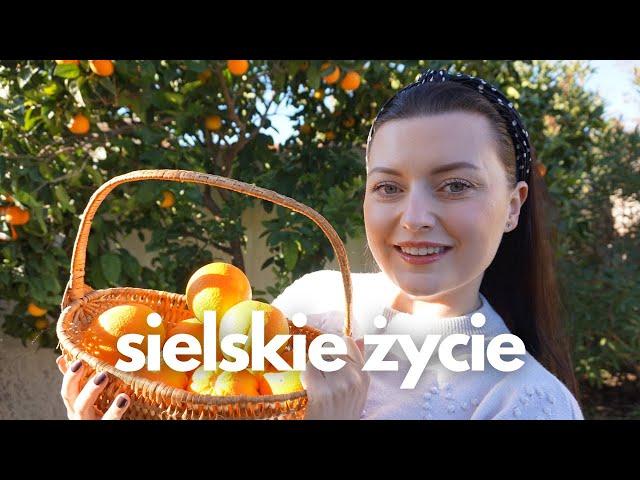 POMARAŃCZE W ZALEWIE, KOLEJNE ZMIANY W DOMU | VLOG | Lavendova