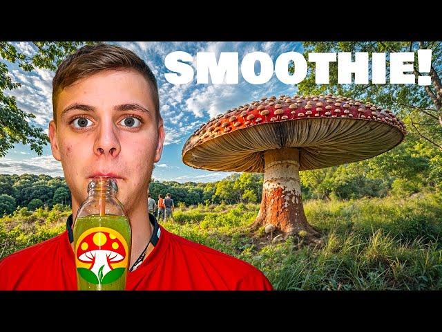 Mushroom Smoothie In Thailand!