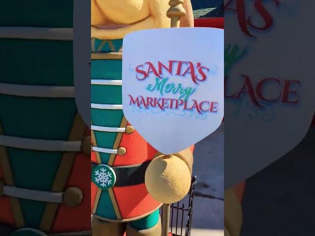 Mr. nutcracker