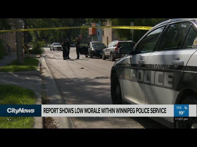 Low morale within Winnipeg Police Service