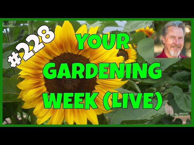 Black Friday for the Garden (Q&A)