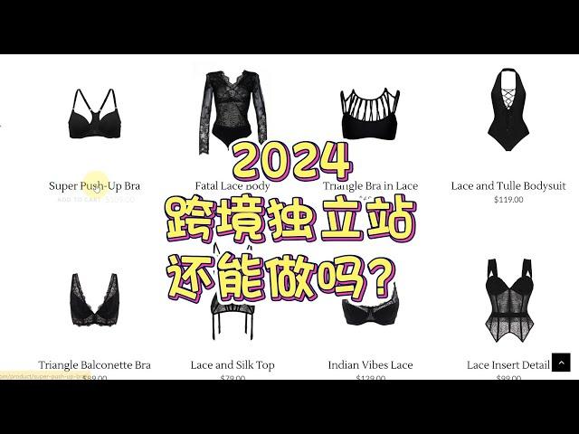 2024为什么要做跨境电商独立站？要怎么做？