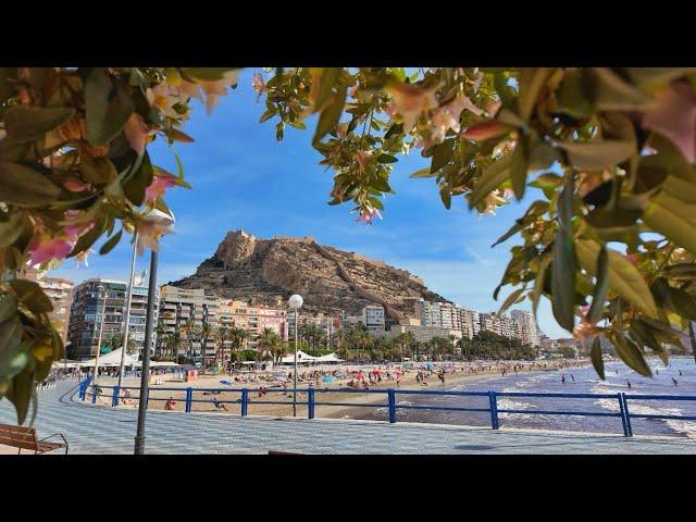 ALICANTE Food Experience | SPAIN