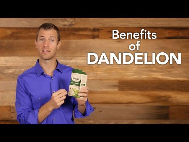 Benefits of Dandelion