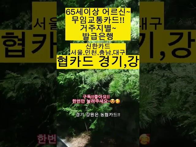 거주지별~무임교통카드발급은행!!#shorts