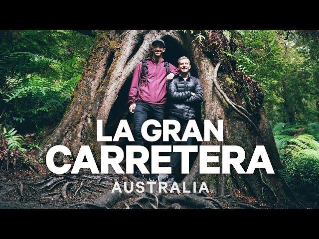 LA GRAN CARRETERA: KOALAS, BOSQUES Y ACANTILADOS