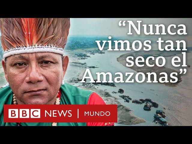 Ríos secos y delfines muertos: las imágenes que muestran el avance de la sequía en el Amazonas