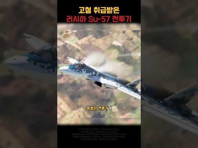 고물 취급 당한 러시아 Su -57 전투기