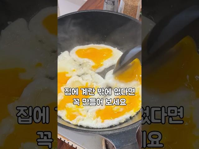 집에 또… 달걀밖에 없다면!?