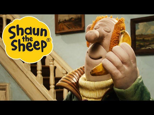 Ewe've Been Framed | Shaun the Sheep | S2 Full Episodes