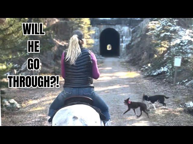 HORSES in pitch black tunnels!  This trail ride was WILD!