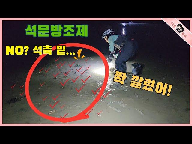 석문방조제 석축 밑에 발 디딜 틈이없이 많아 주워 담는데 지쳤네!