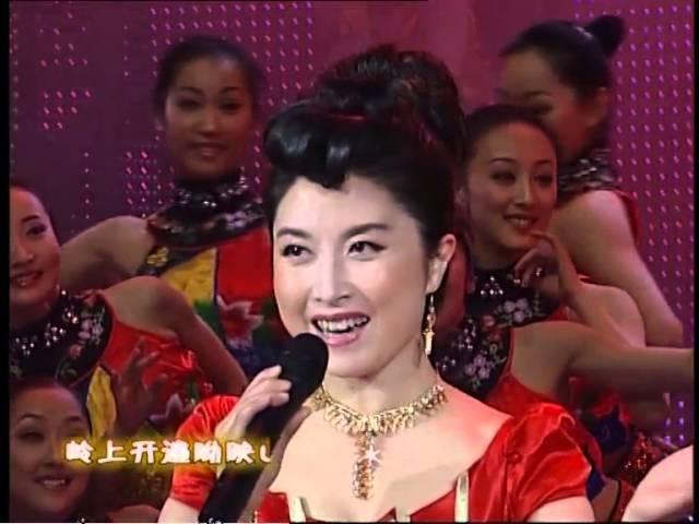 2006年央视春节联欢晚会 歌曲《映山红》 邓玉华|蔡国庆|刘媛媛| CCTV春晚