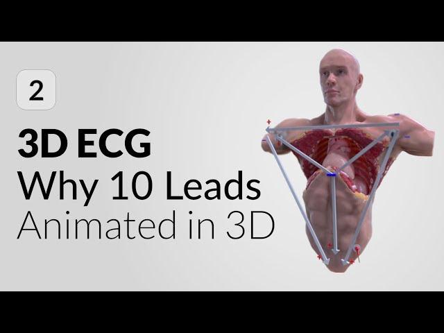 10 lead vs 12 lead ECG explained in 3D | 3D ECG mobile App