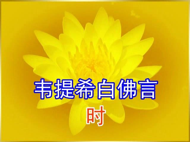 《佛说观无量寿佛经》善音居士念诵（简体版）