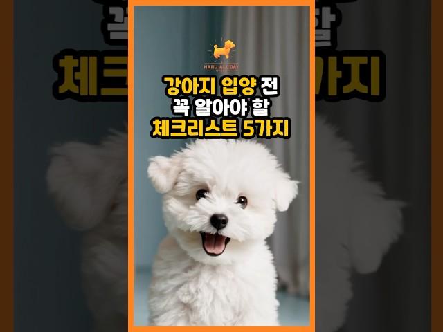 강아지 입양 전 꼭 알아야 할 체크리스트 5가지