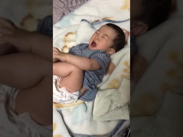 옷갈아입기싫어땡강부리는백호