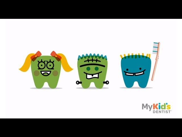 How to Brush Your Teeth Properly - For Kids