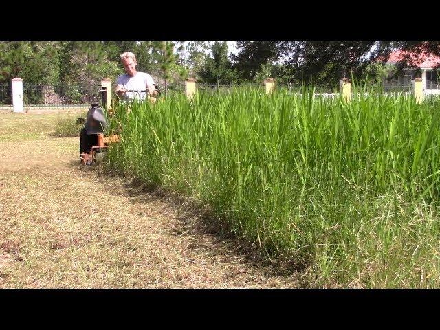 Mowing tall thick grass 16 Satisfying relaxing commercial mowing