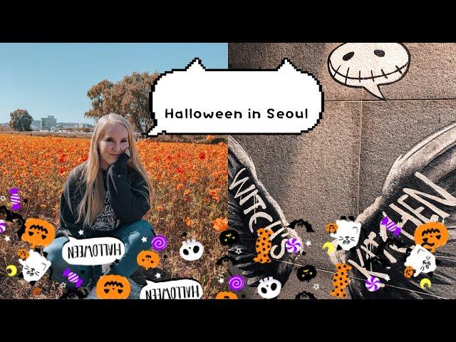 DEAR SEOUL | Halloween in Seoul  Witch's Kitchen and Gangnam Apartment Tour