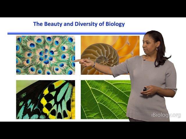 Kristala L. J. Prather (MIT) Part 1: Introduction to Synthetic Biology and Metabolic Engineering