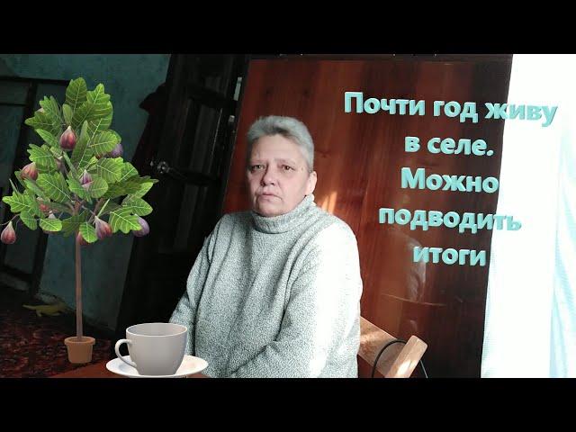 Жизнь в деревне. Уже почти год, как я живу в селе, подвожу итоги.