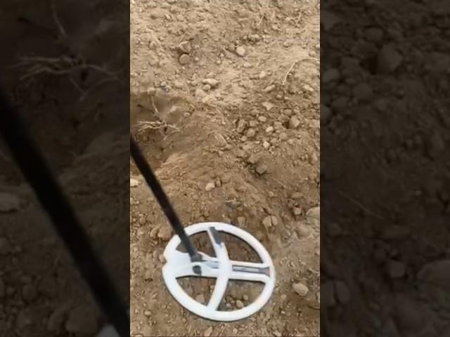 С блондинкой на копе #находки #поискмонет #металлоискатель #коп #metaldetector #шурф #minelab #coin