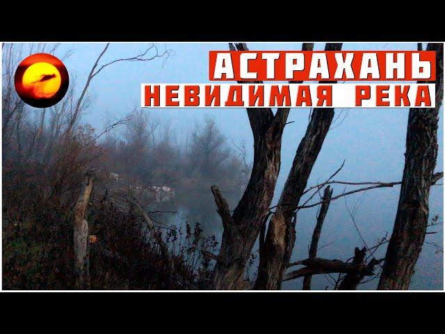 НЕВИДИМАЯ РЕКА / Рыбалка, Туман, Рассвет и Хищник