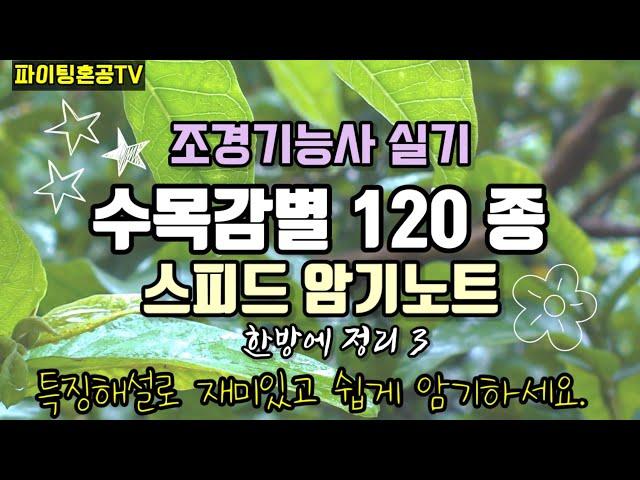 조경기능사 수목감별 한방에 정리 3  (해설포함)