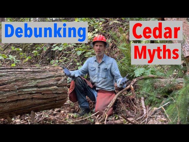 Cedar Lumber is NOT Rot Resistant?