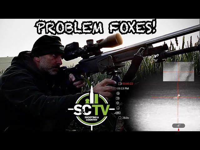 S&C TV Mark Ripley (260 RIPS) Episode 35 - Problem Foxes