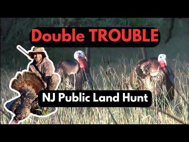 Public Land Turkey Hunting, IN YOUR FACE GOBBLERS!