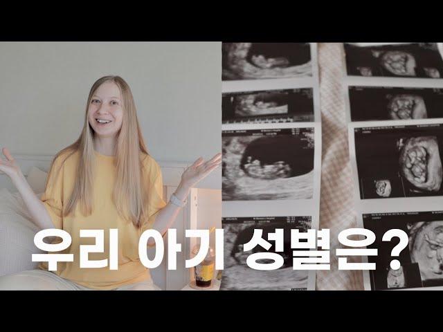 성별을 알게 됐어요! 한국에 사는 우크라이나 여자의 16-17주차 임신일기