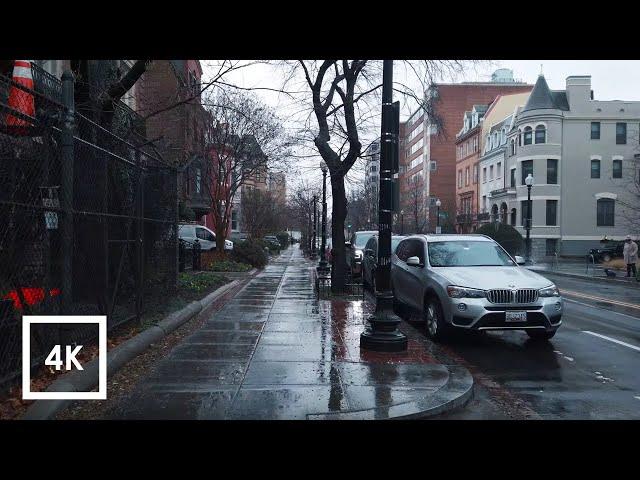 Light Rainfall Walk in Washington DC, Rain and Umbrella Ambience (Farragut West to Adams Morgan)