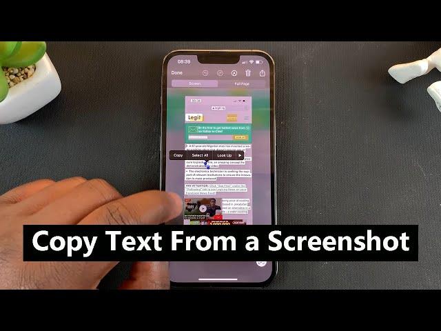 How To Copy Text From a Screenshot On iPhone 13