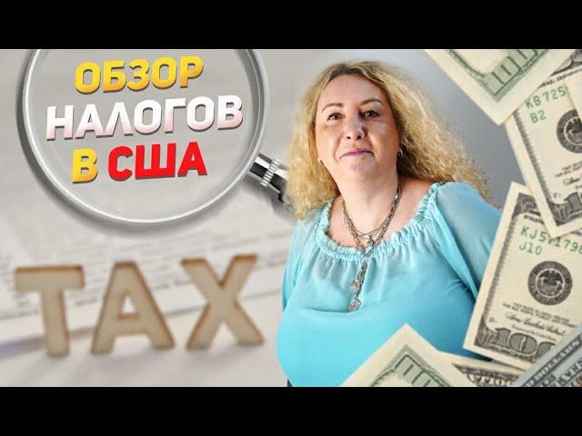 Обзор налогов в США