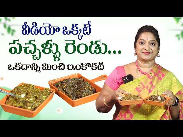 పాలకూర చుక్కకూర చట్నీ || Paalakura Chukkakura Chutney in Telugu || Sailaws Kitchen