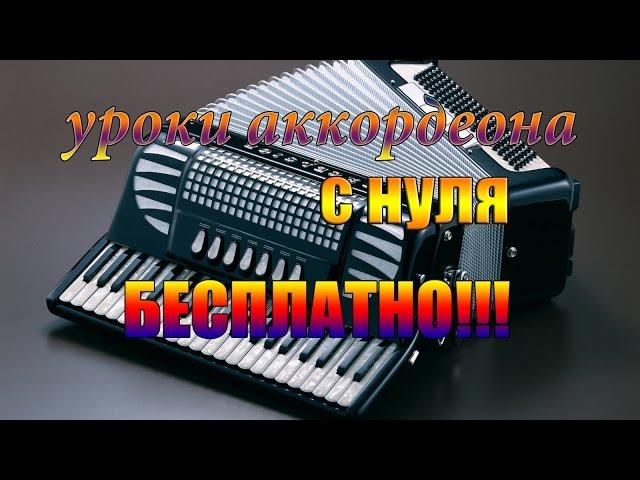 Как научиться играть на аккордеоне с нуля #1