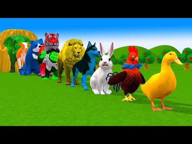 Paint & Animals Ducks,Gorilla,Cow,Lion,Elephant,Bear Fountain Crossing Transformation Animal Cartoon