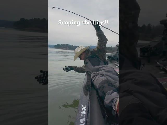 This fish anchored my bag enough to win! #bassfishing #fishing #largemouthbass #livescope