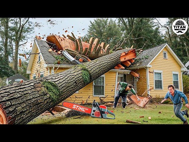 Dangerous Fastest Idiots Cutting Tree Fails Skill With Chainsaw | Tree Falling on Houses #1