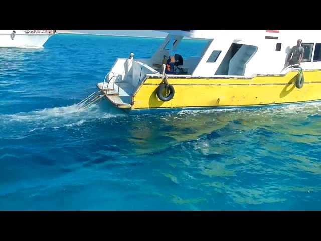море  яхта  дельфины