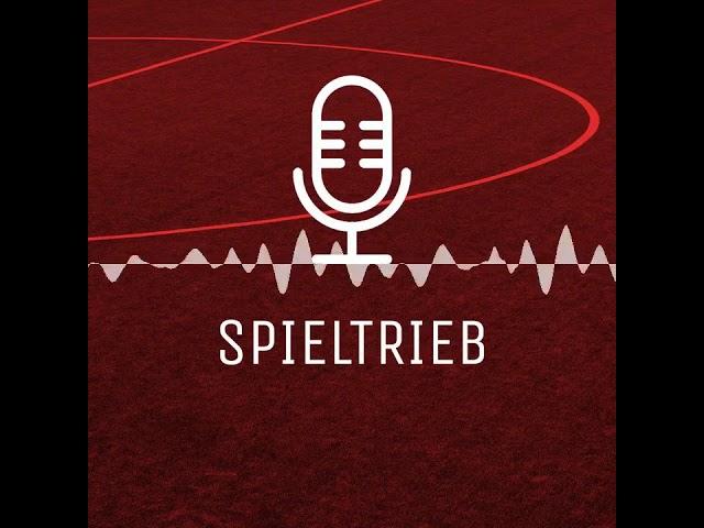 #4 Sportpsychologie im Jugendfußball // Dr. Tom Kossak [Fußball-Podcast 2019]