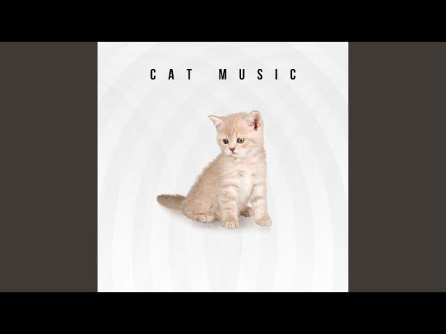 Cat Music