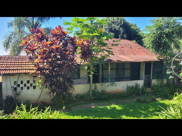 ESTÁ TUDO INTACTO DENTRO DESTA CASA ANTIGA, DO JEITO QUE ELA DEIXOU ANTES DE PARTIR!