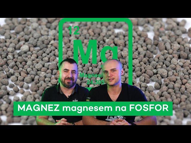 MAGNEZ, ŻEBY BYŁO ZIELONO - #249 nawozy nonstop